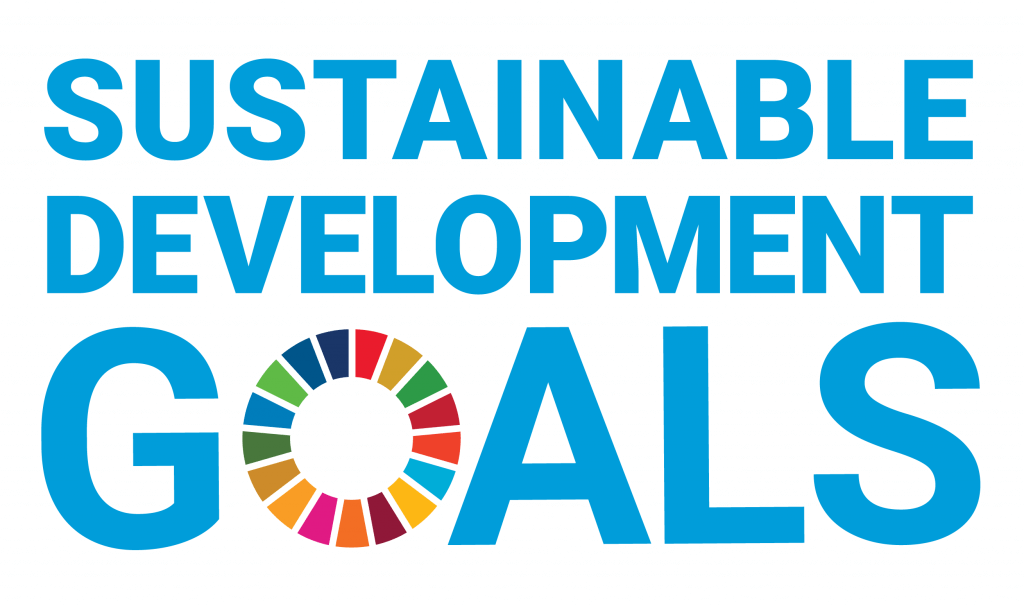 SDG logo